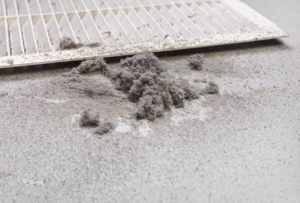Best Air Duct Cleaning Company Near Me  in Nahunta, GA