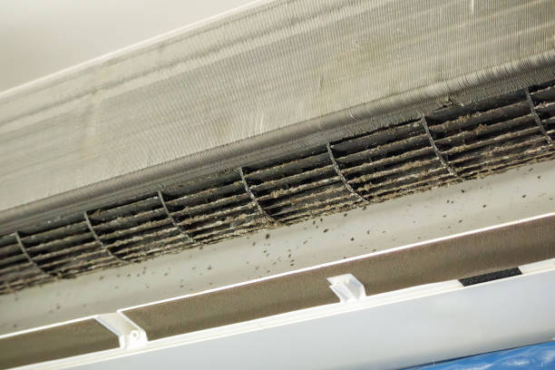 Best Ductwork Cleaning Services  in Nahunta, GA